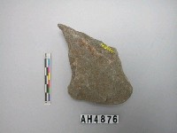 藏品(有腰打製石斧)的圖片